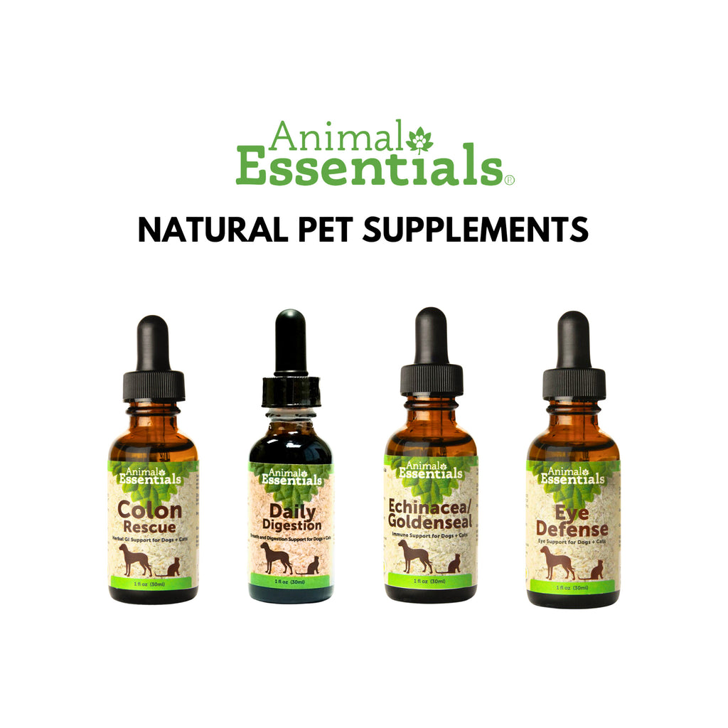 Animal Essentials Echinacea Goldenseal Immune Support Liquid for Dogs Cats Only Natural Pet