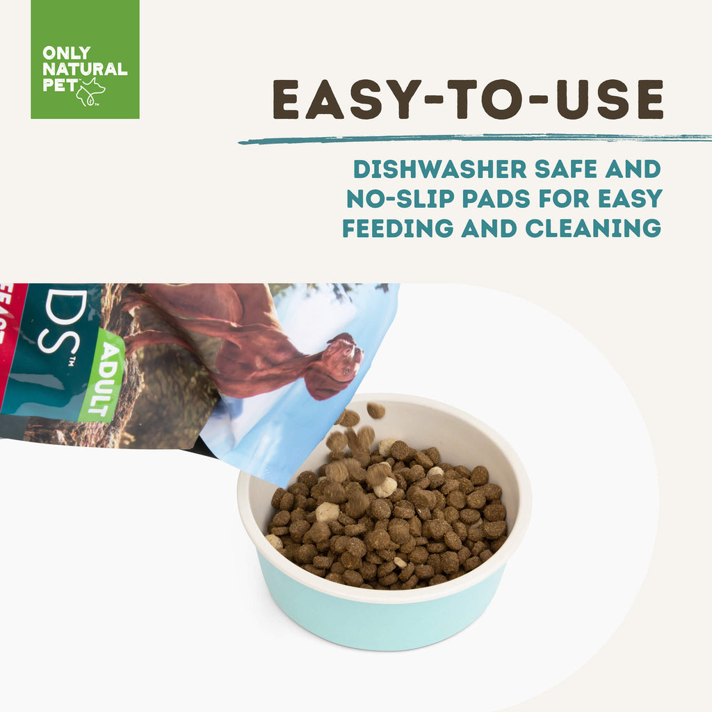 Safe dry 2024 dog food