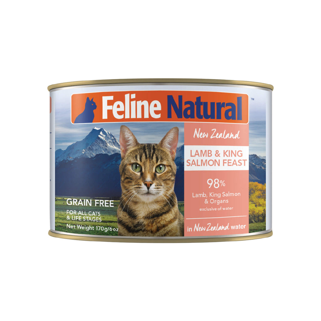 Wet cat food hot sale without guar gum