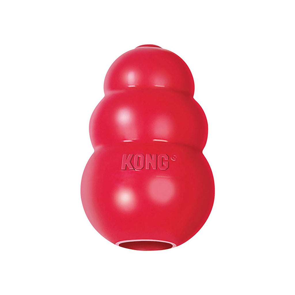 Pet Supplies : KONG Small Dog Puppy Teething Toy - Colors May Vary (2 Pack)  