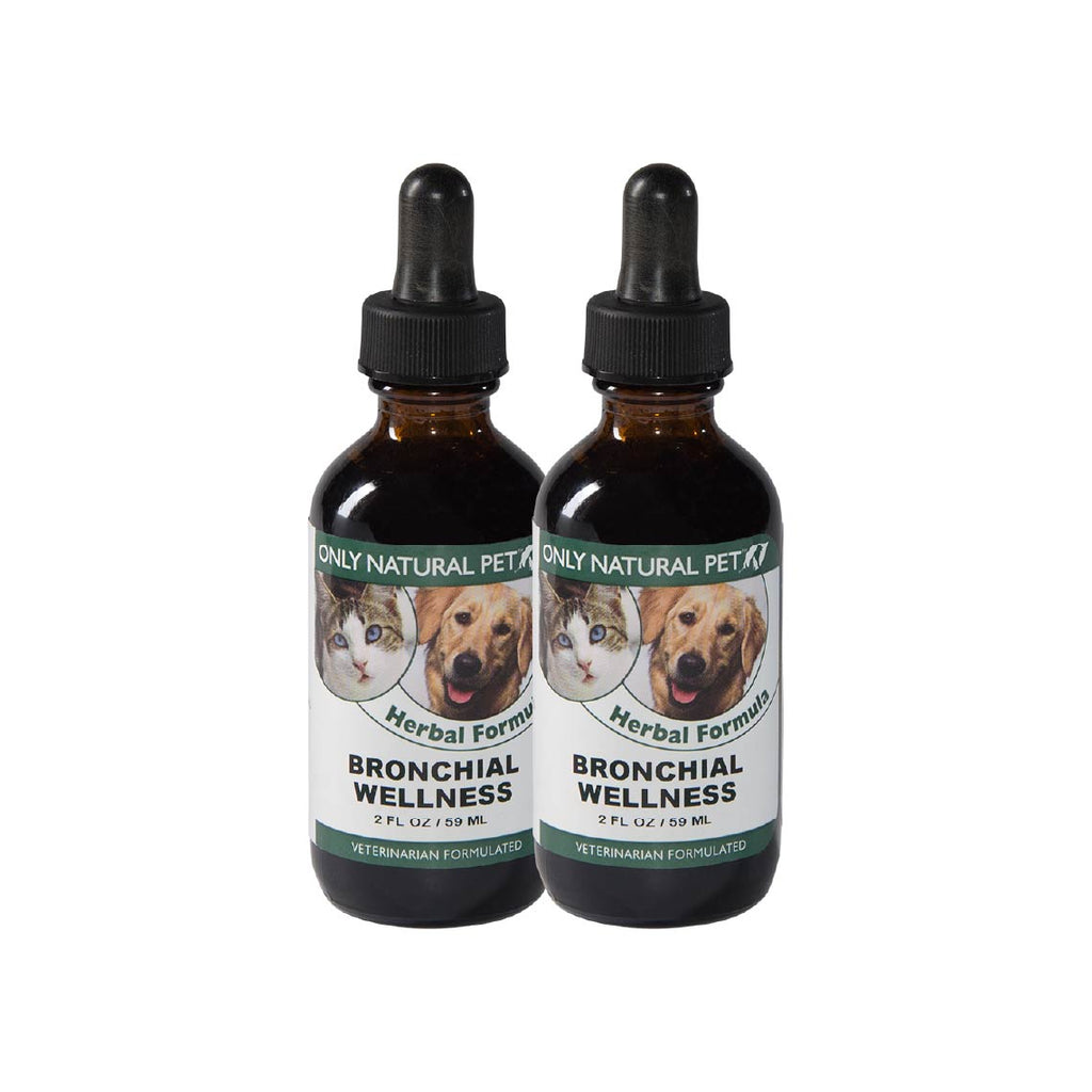 Supplements for dog outlet bronchitis