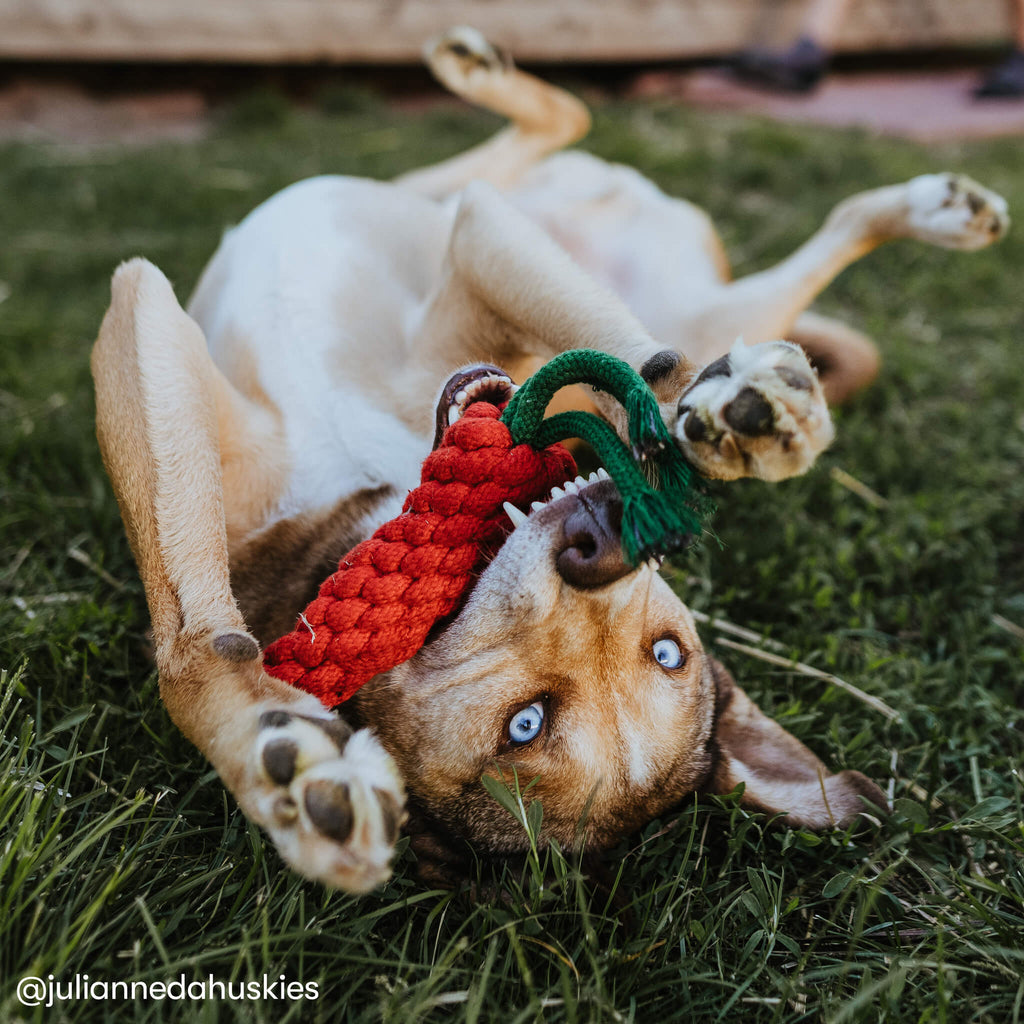 Eco Friendly Dog Toy, Candice Carrot Eco Dog Toy, Orange Suede