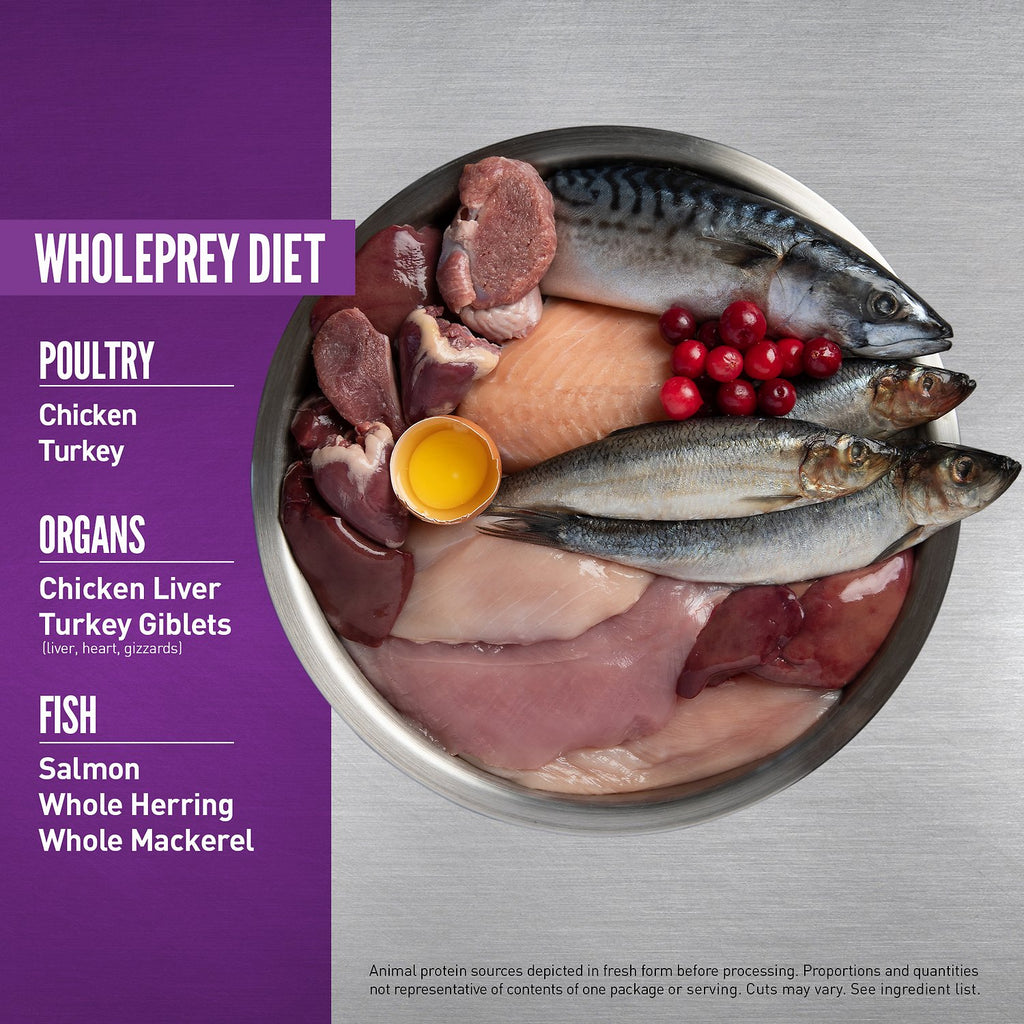 Orijen Whole Prey Chicken Turkey Salmon Herring Kitten Food