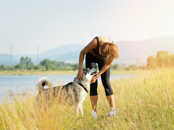 Whole Food Antioxidant Blend for Dogs Only Natural Pet