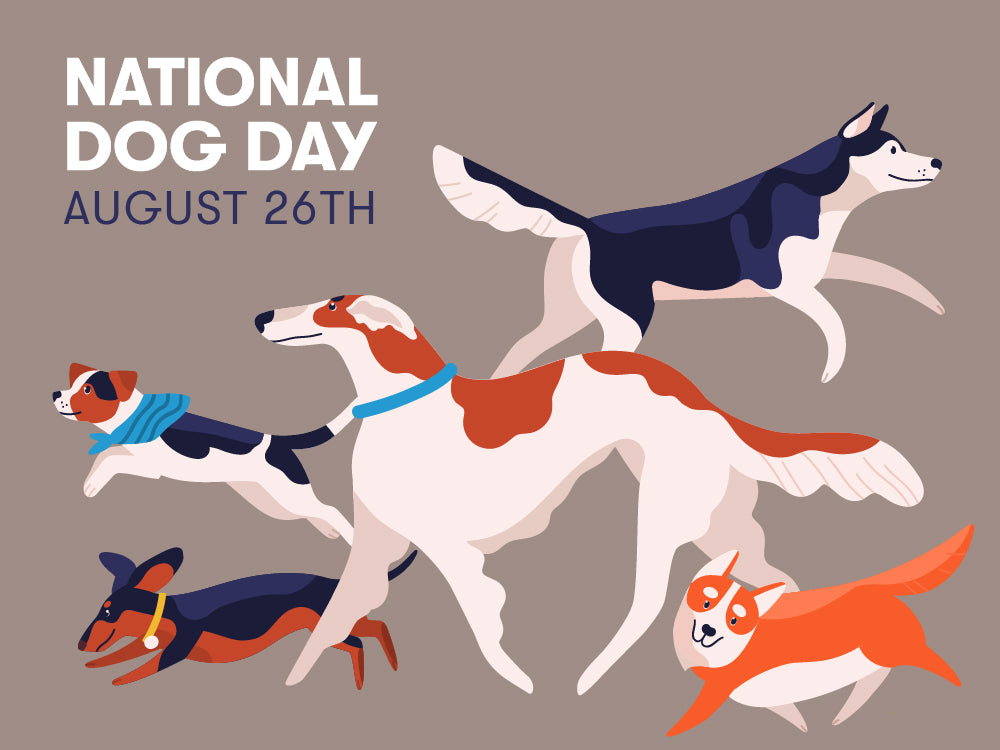 Top 7 Ways to Celebrate National Dog Day 2021 Only Natural Pet