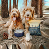 Jiminy's Good Grub Sustainably Sourced Dog Food