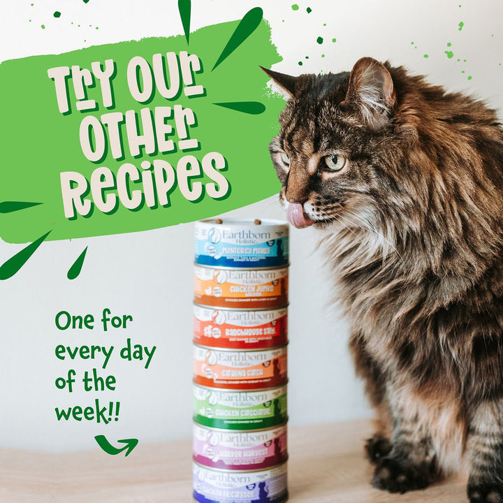 Cat food on sale this week online
