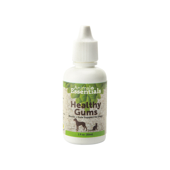 Animal Essentials Healthy Gums & Mouth Support Liquid for Dogs