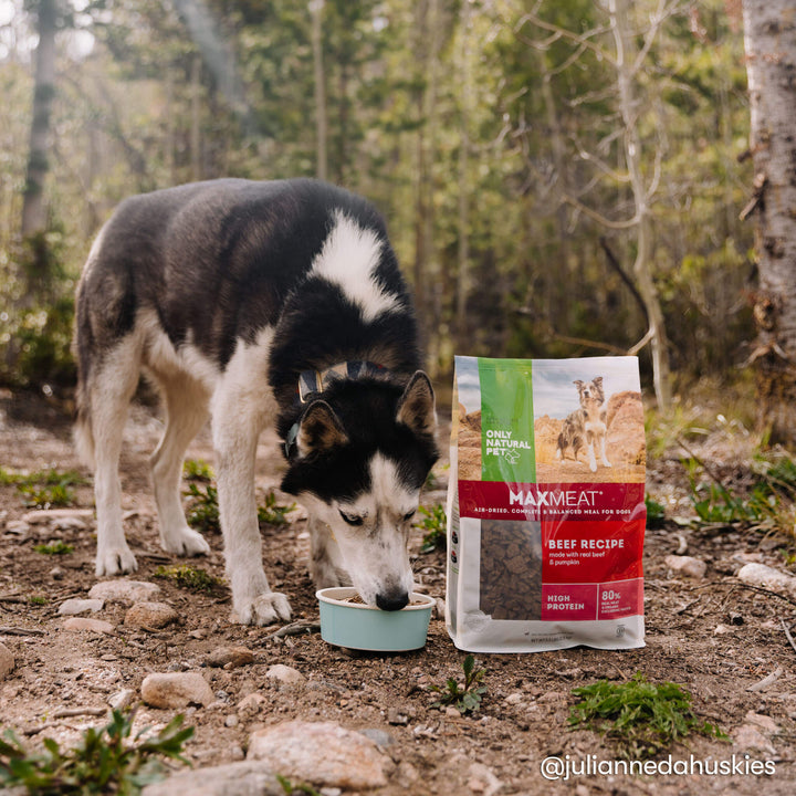 MaxMeat Beef Dog Food Only Natural Pet