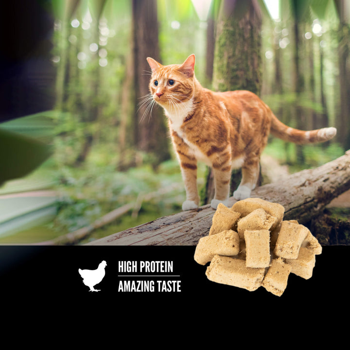 Freeze dried shops cat