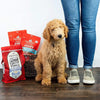 Stella & Chewy's Raw Coated Chicken Puppy Food with Puppy