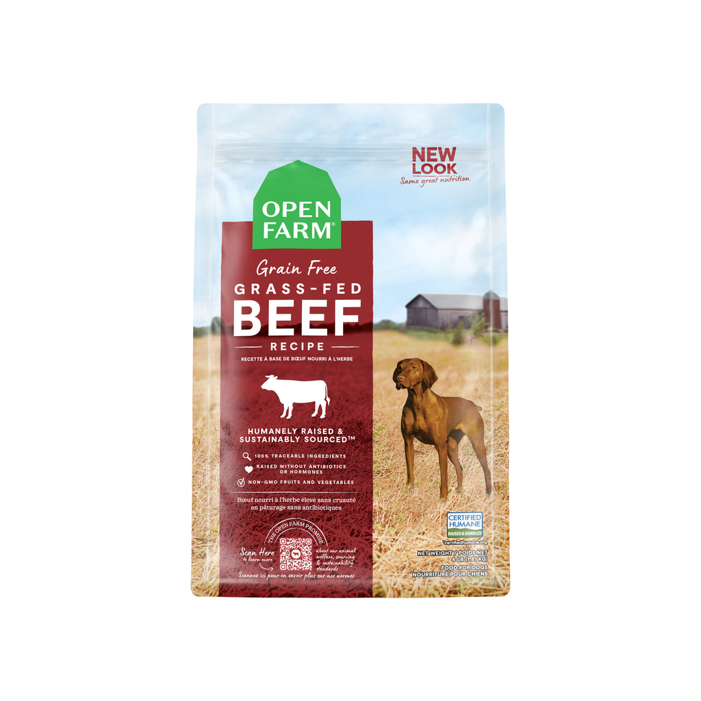 Good non grain 2024 free dog food