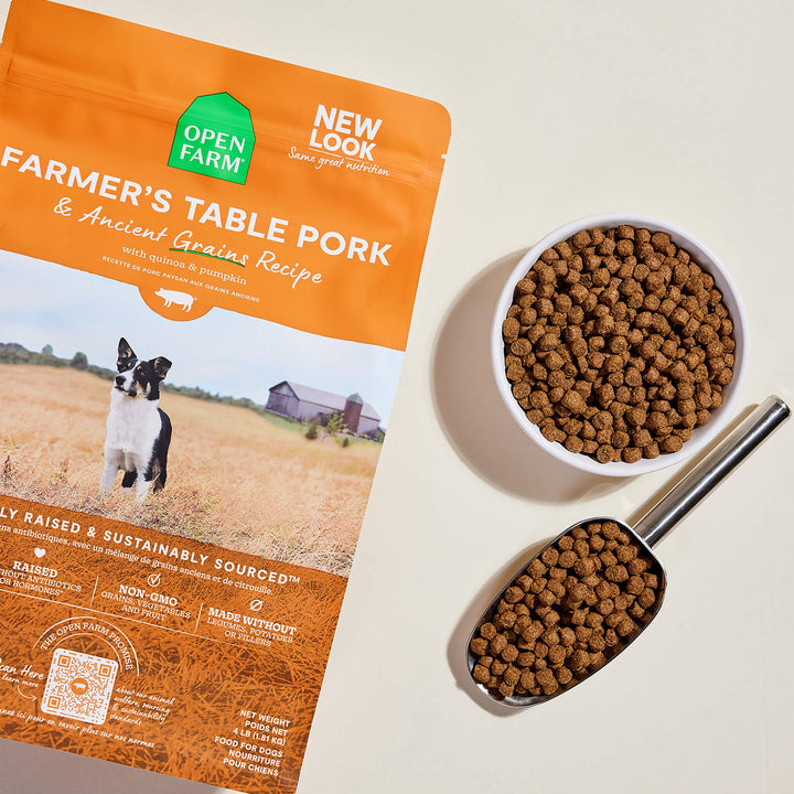 Dog food without legumes best sale