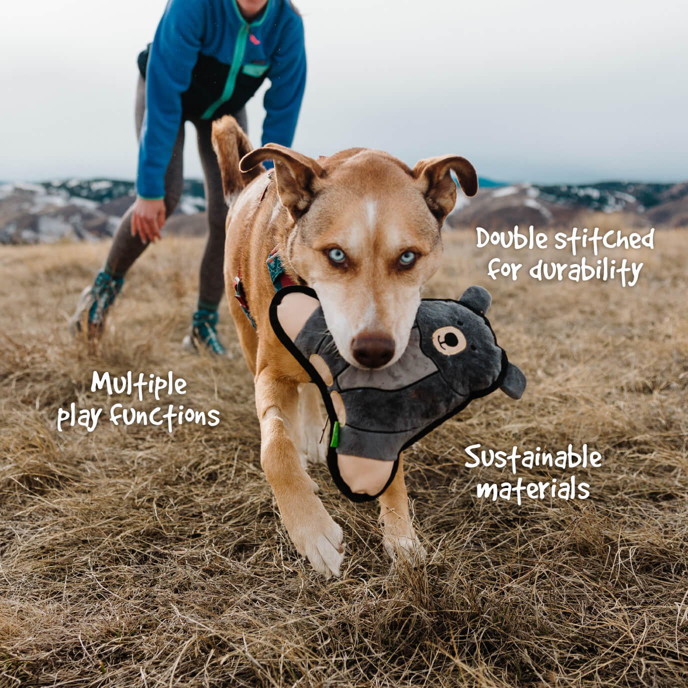 Dog Bowl on the Go in Natural Rubber –