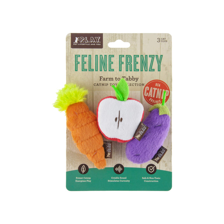 P.L.A.Y Garden Fresh Plush Carrot Dog Toy