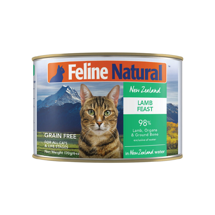 Best grain free canned cat food best sale