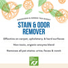 Stain & Odor Remover