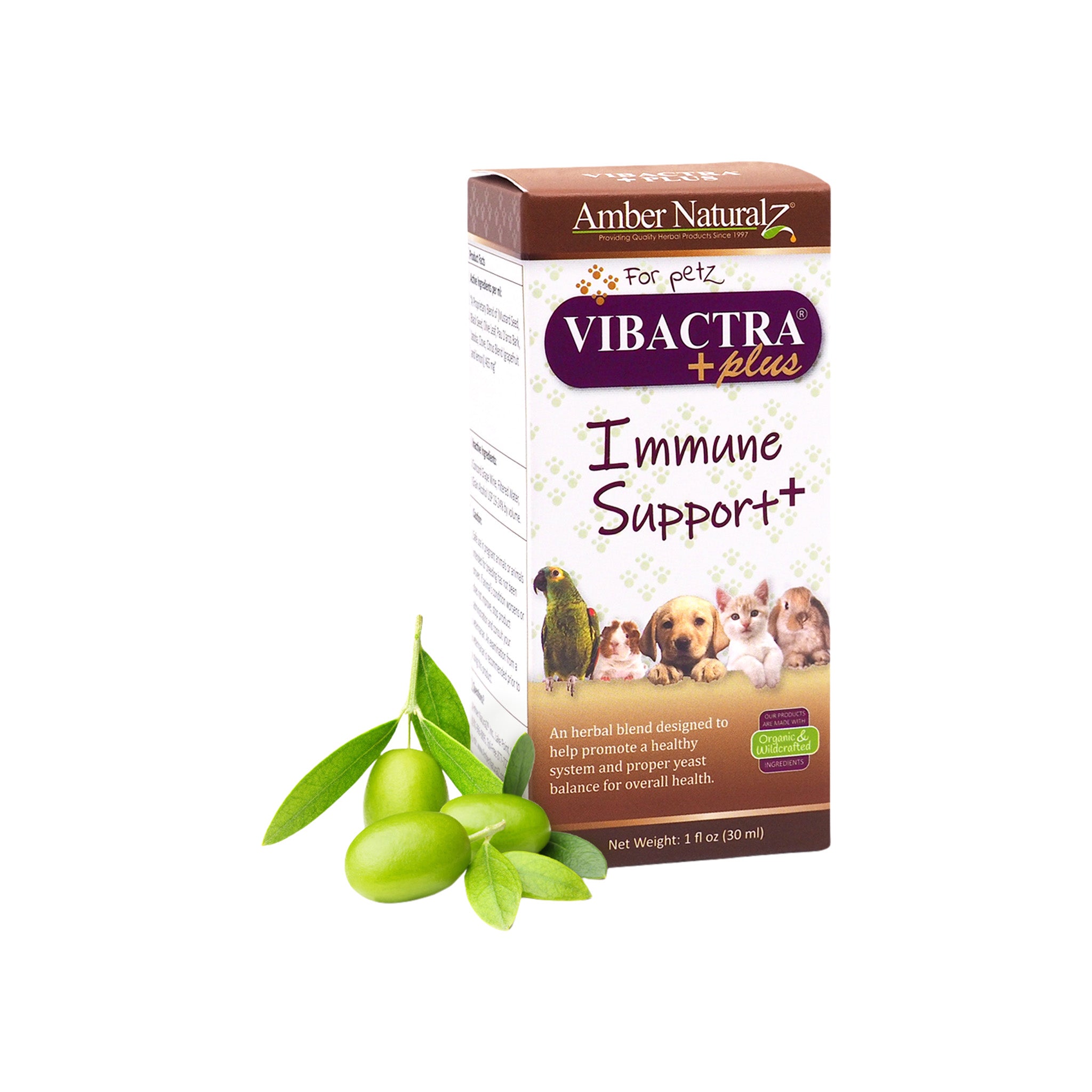 Amber Naturalz Vibactra Plus Immune Support Herbal Liquid Supplement for  Dogs & Cats