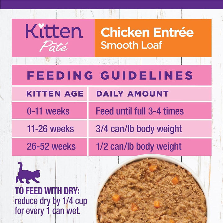 How much wet food for kitten per day best sale