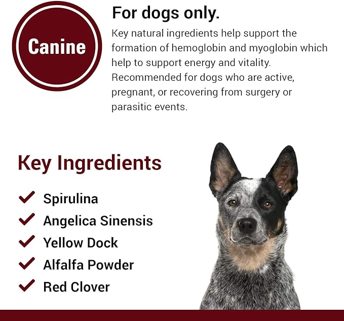 VetClassics Blood Energy Support Only Natural Pet