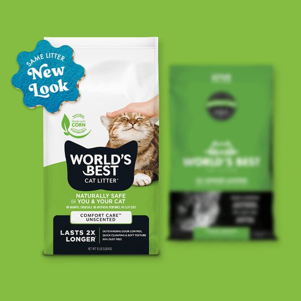 Choosing the Best Natural Healthy Cat Litter Only Natural Pet