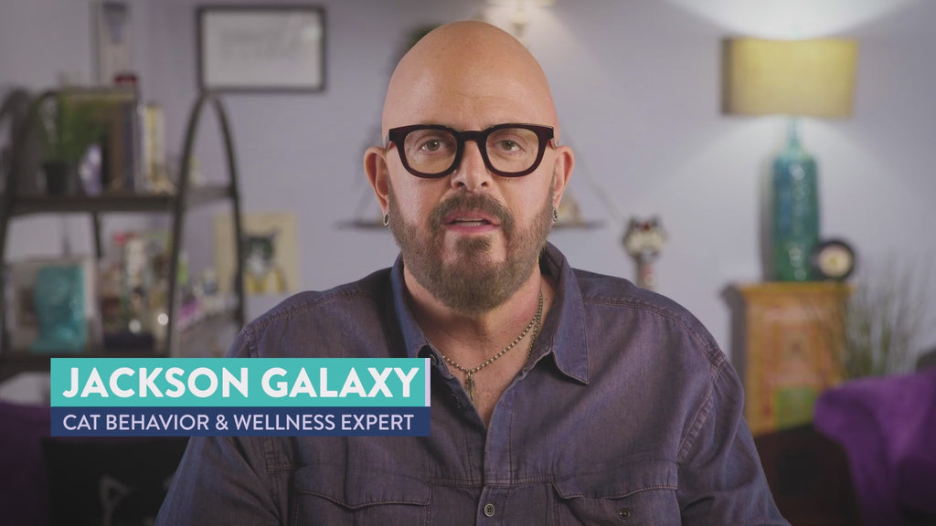 Jackson Galaxy Skin Soother for Cats & Dogs Video
