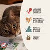 Fromm Four Star Chicken A La Veg Grain Inclusive Recipe Dry Cat Food