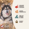 Fromm Four Star Salmon Tunalini Grain Free Recipe Dry Dog Food