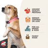 Dry Dog Food for Weight Control Info Graphic