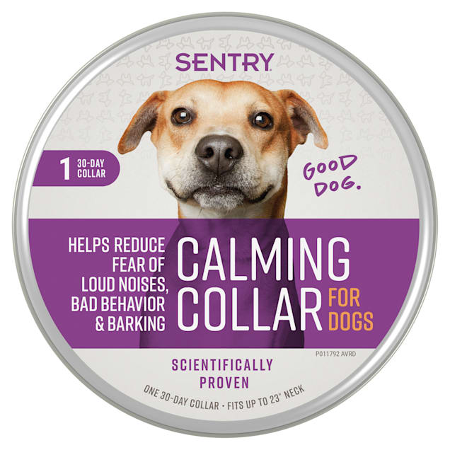 15 Products To Help Manage Your Dog or Cat's Anxiety While Traveling