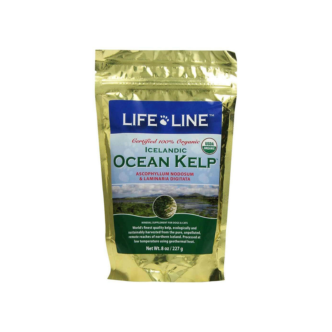 Ocean kelp 2025 for dogs