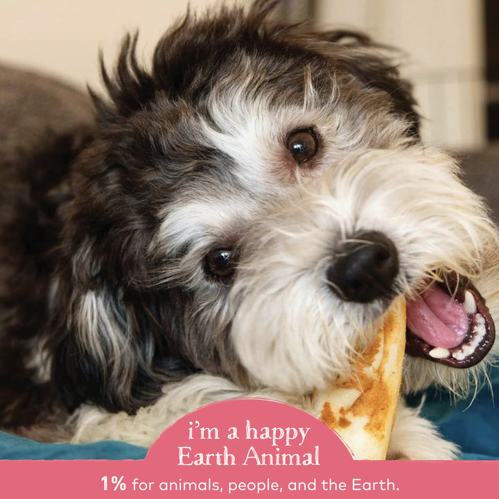 Salmon chews for dogs sales