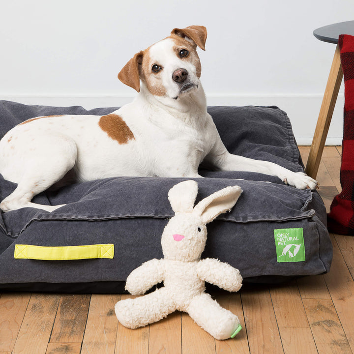 Only Natural Pet Eco Friendly Organic Canvas Beds Only Natural Pet