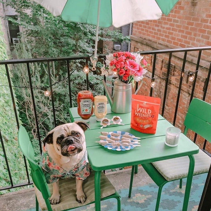 Stella & chewy's wild weenies sales