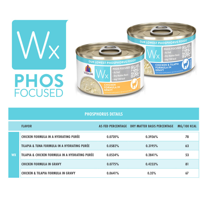 Wet cat food on sale low in phosphorus