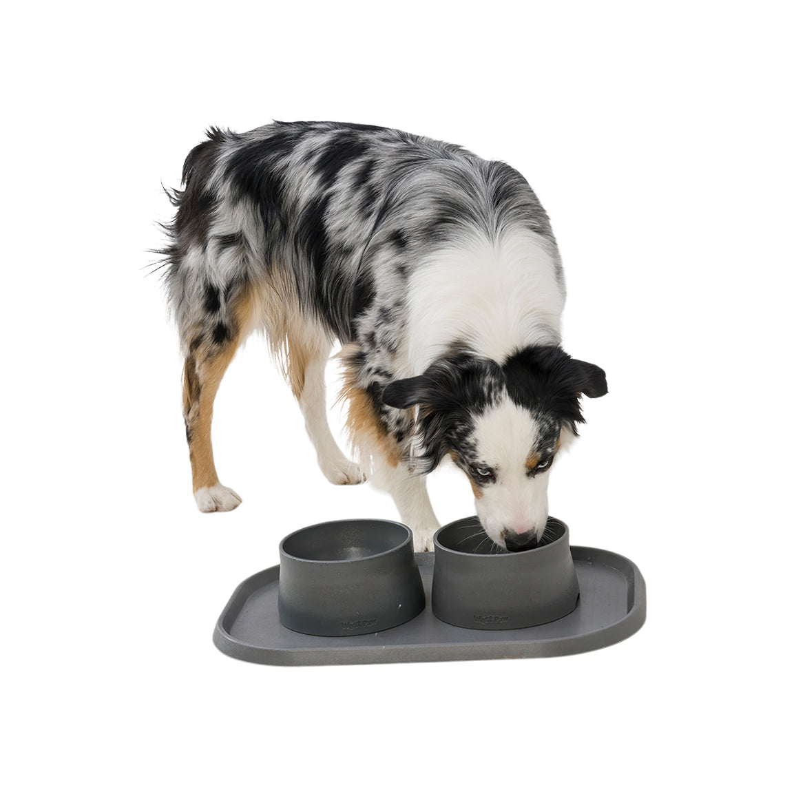 Paws & Pals Dog Food Mat - Anti-Slip Pet Feeding Mats, Multiple